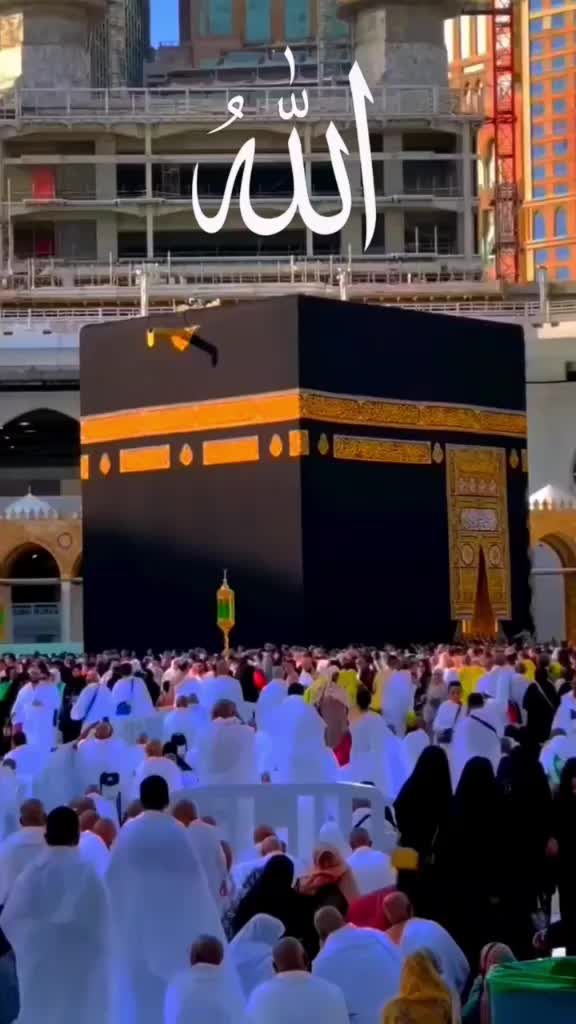 @user7998216000994