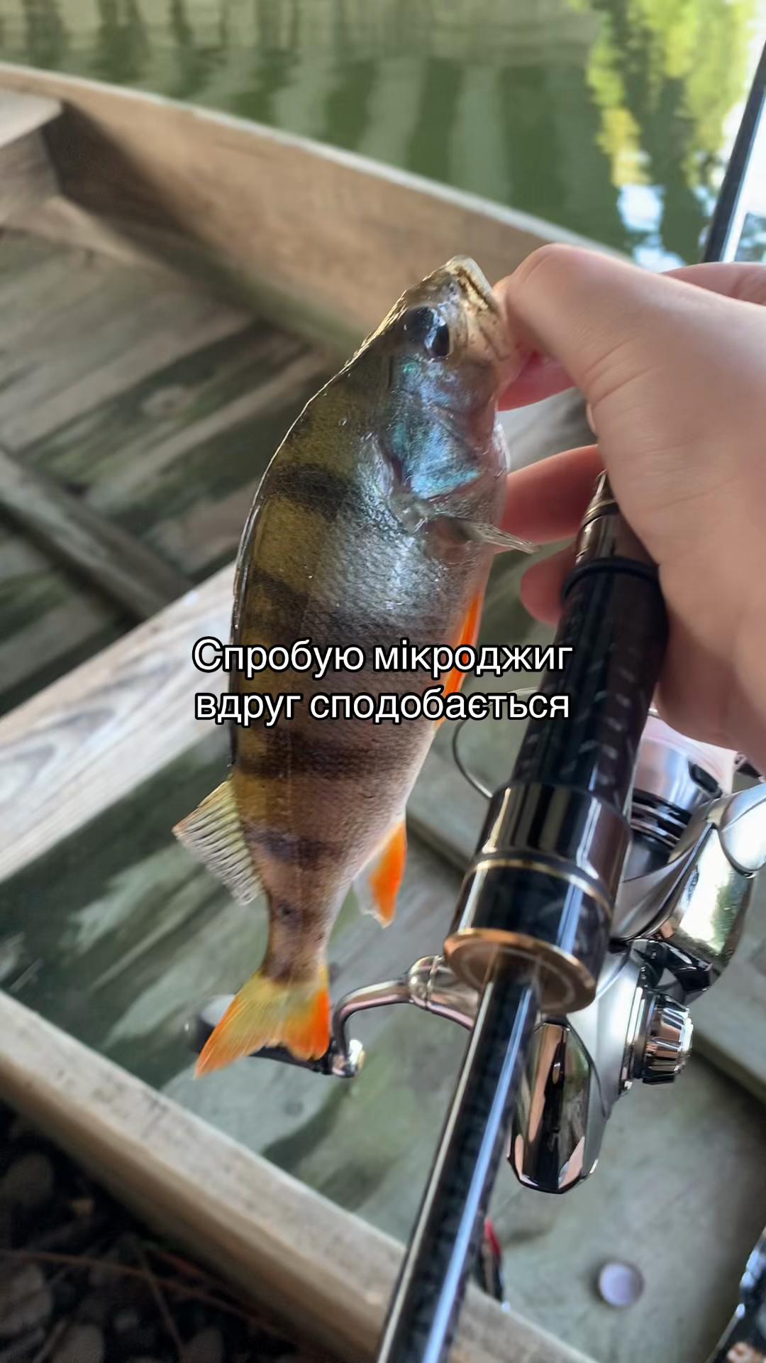@High Fishing