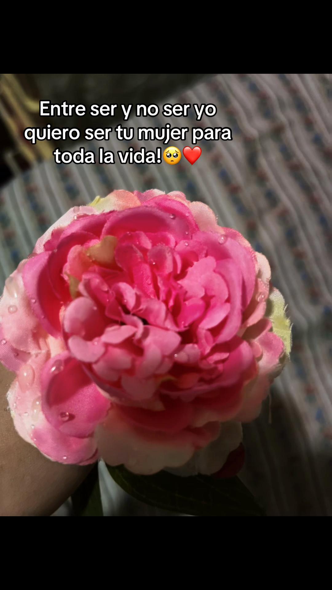 @Gissell_๐๐ธ๏ธ