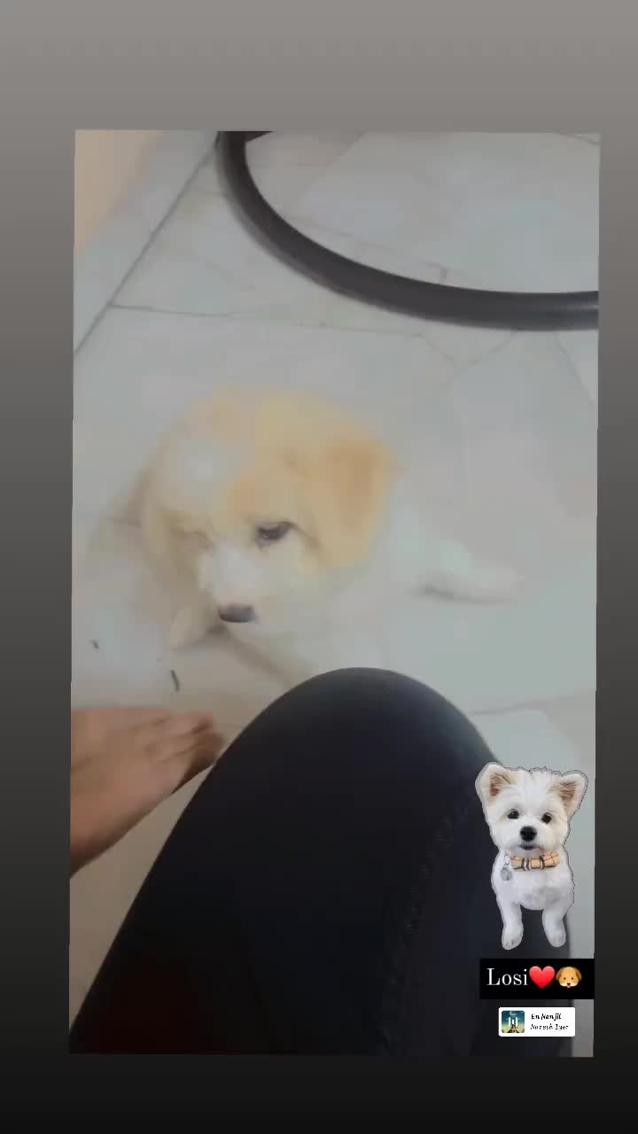 @AmminiReva0401