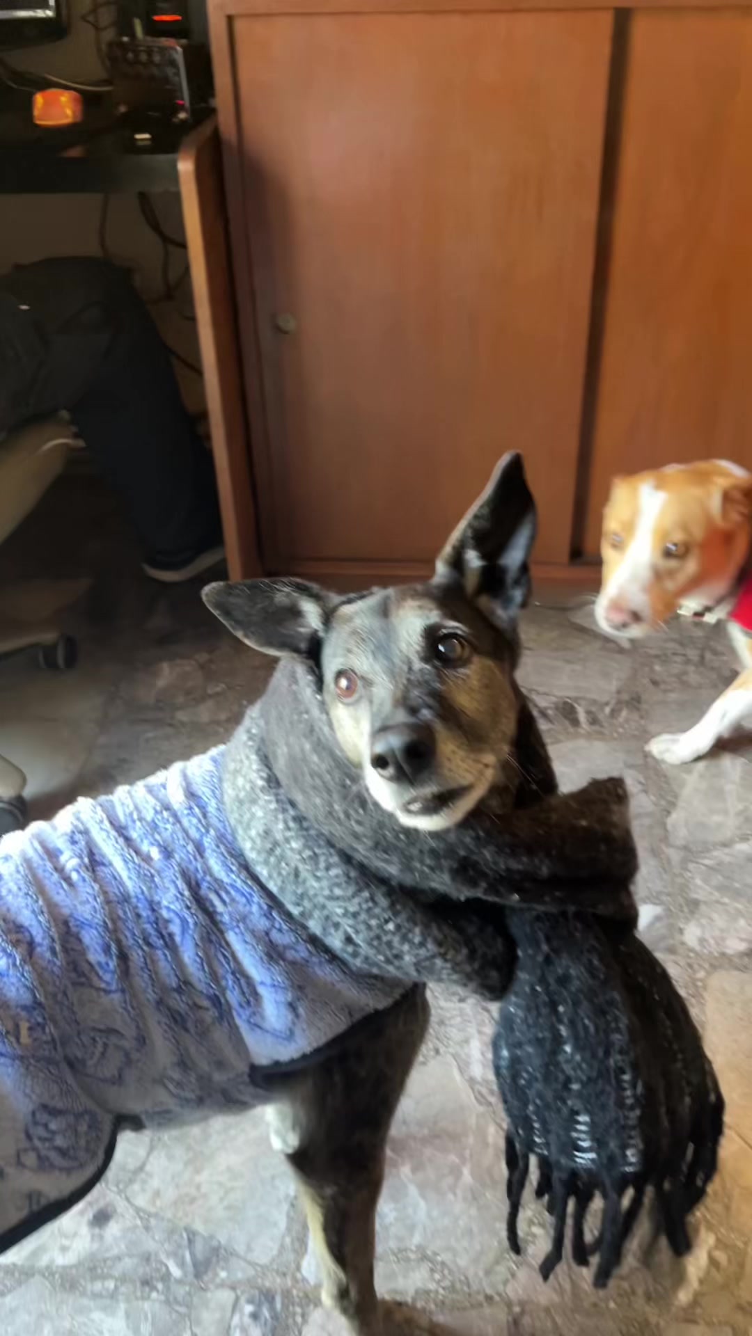 @Juli💋