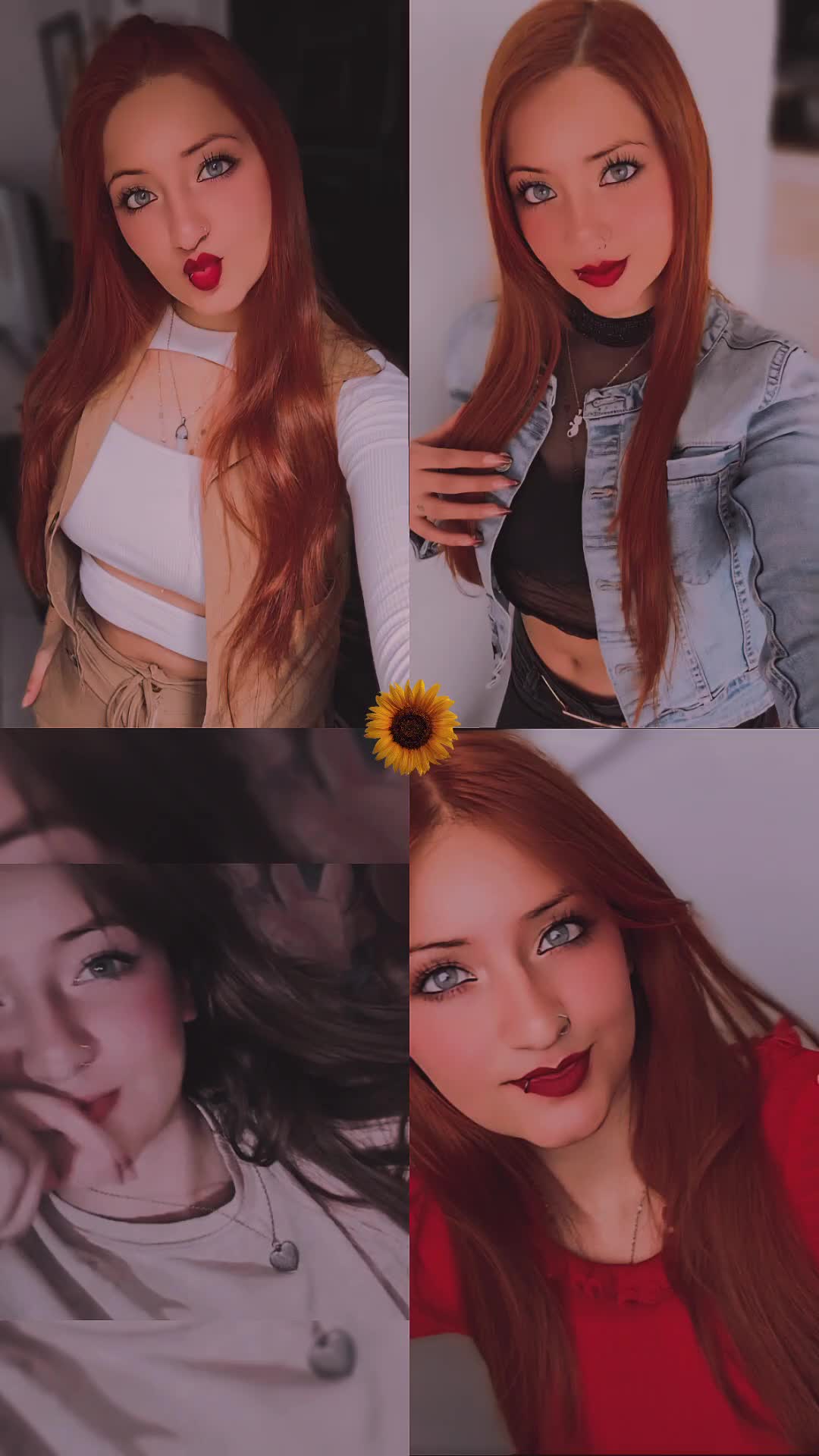 @Shirley ✨️🤍