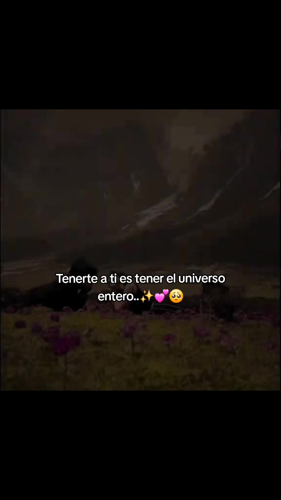 @E.....frases💫🤩