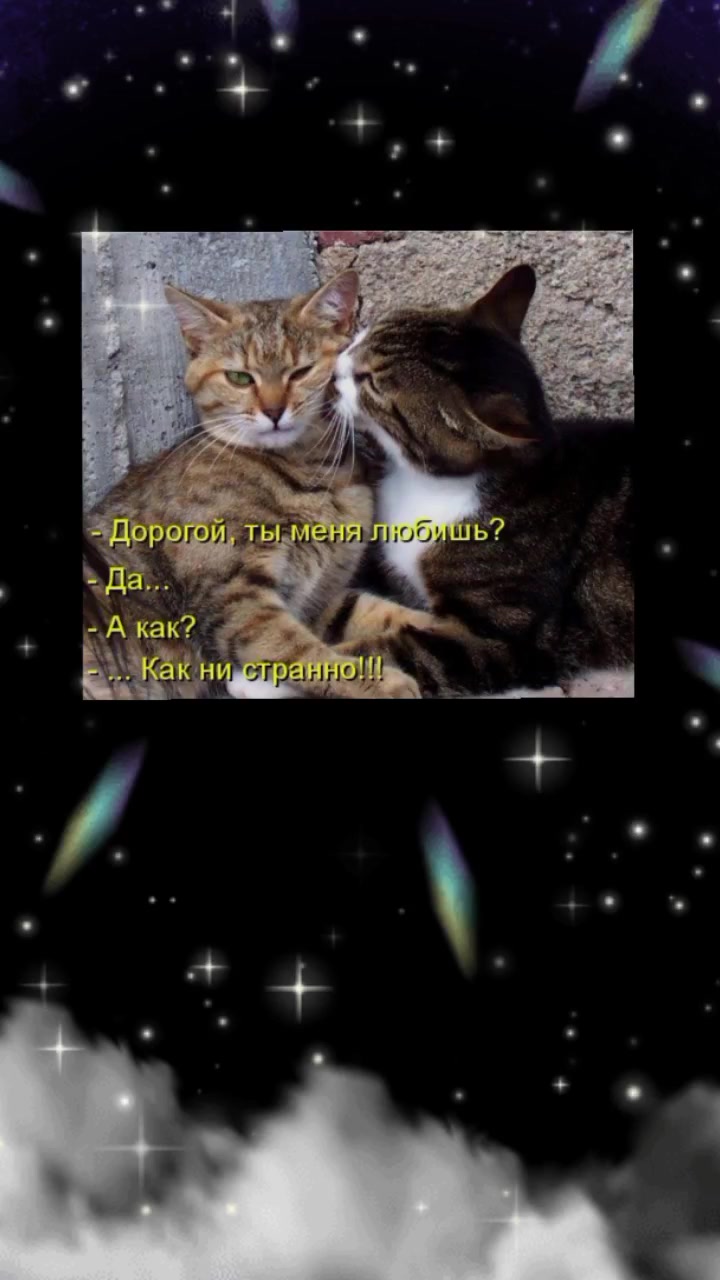 @๐๐๐ช๐ฝ๐ฝ๐ฝ๐ฒ ๐