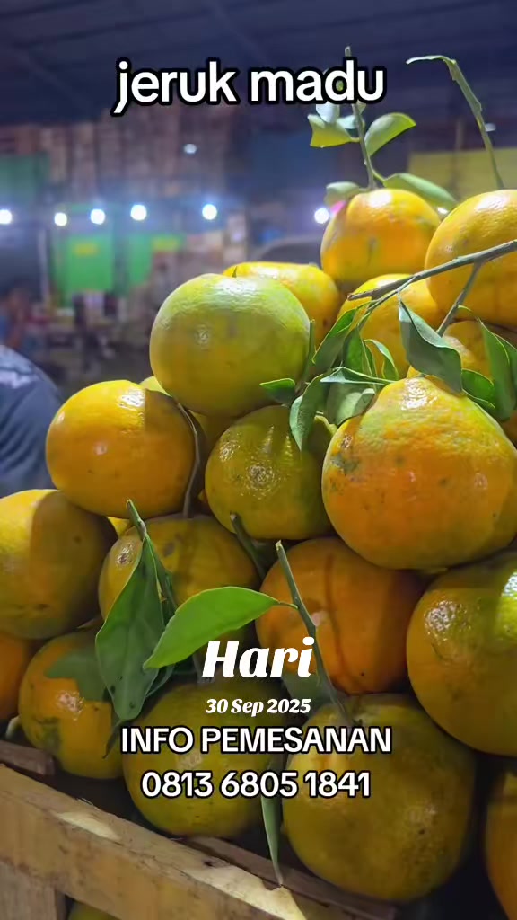 @supplier sayur dan buah sby