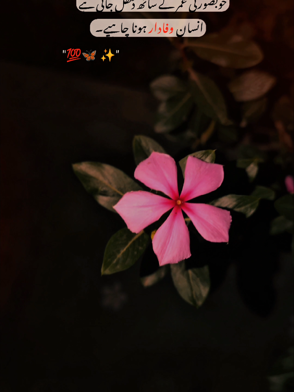@ــــہہـ٨ــ&hearts;️ـــہہـ٨ـ