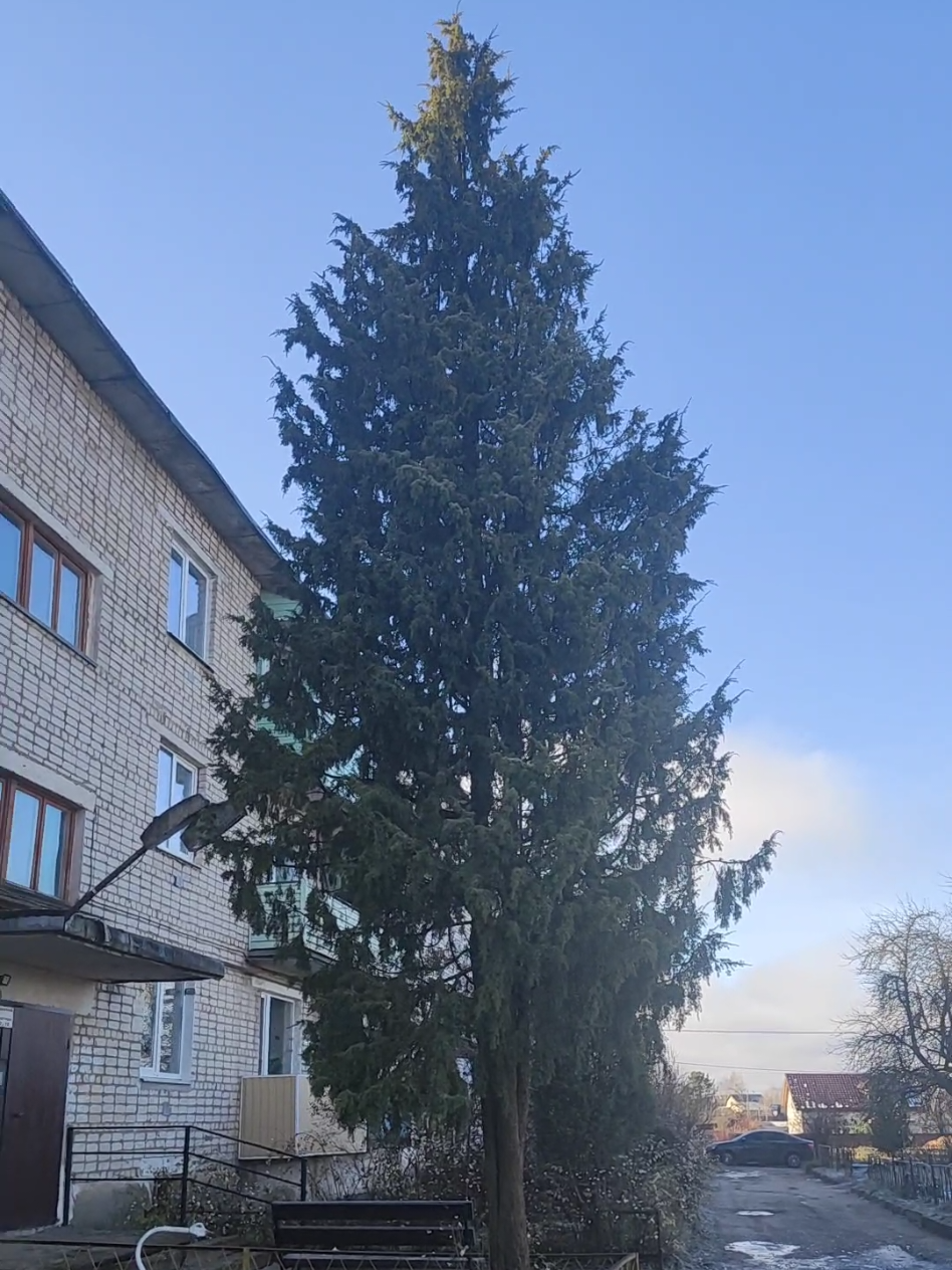 @артём