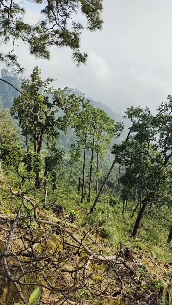 @amrita khadka oli
