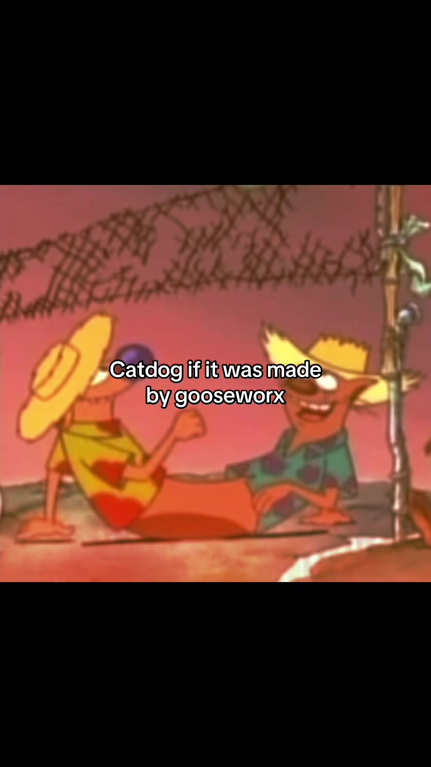 @Dottie🏥🐾 - Mrs Caticus