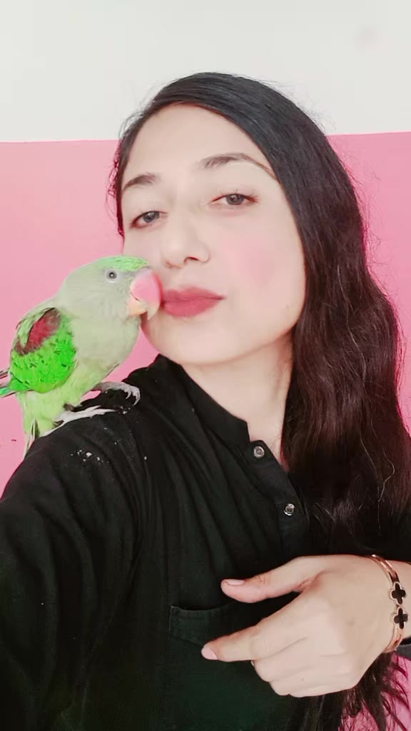 @shabnamkhan5000