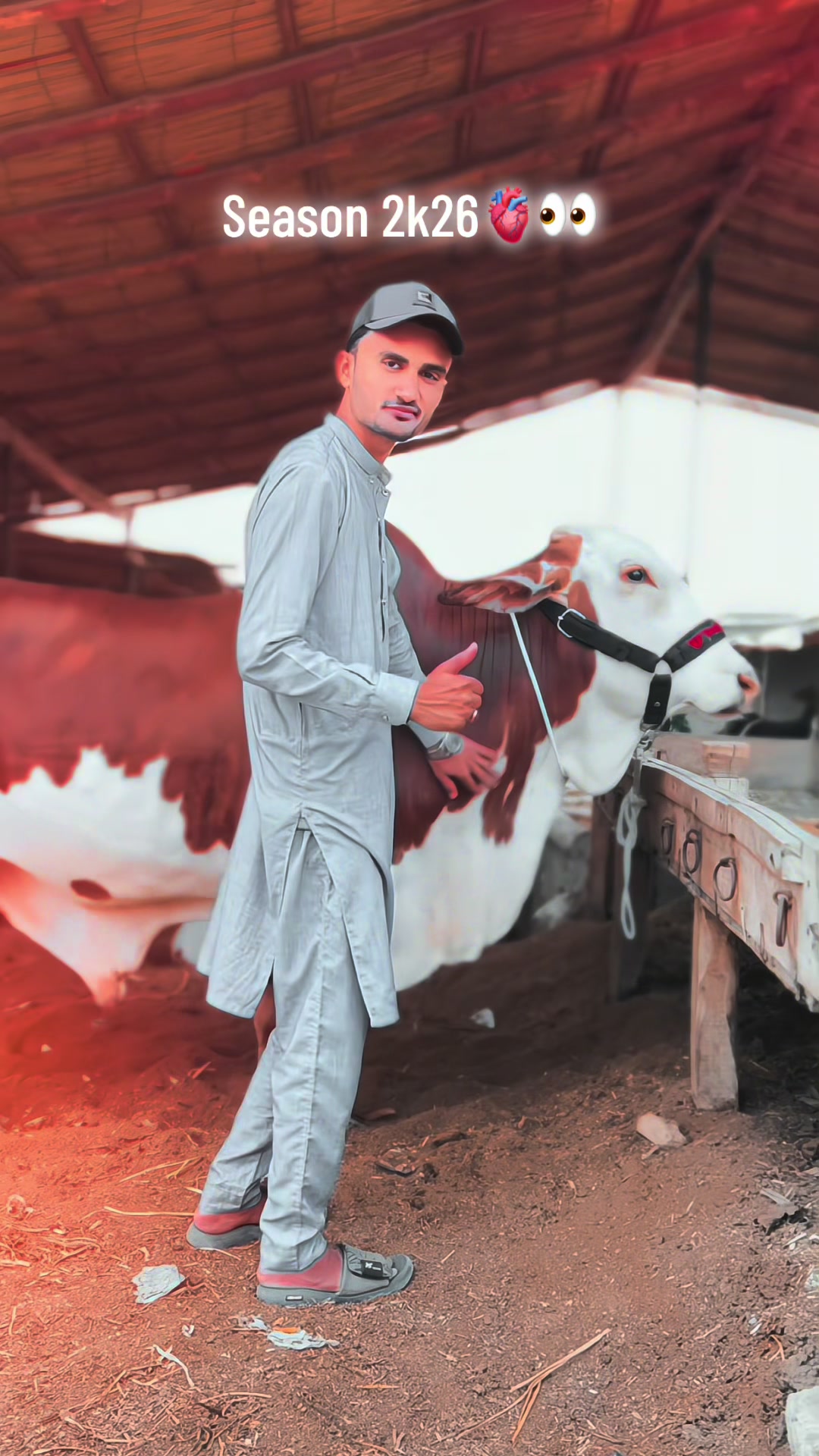 @⚡️شاہ صاحب⚡️