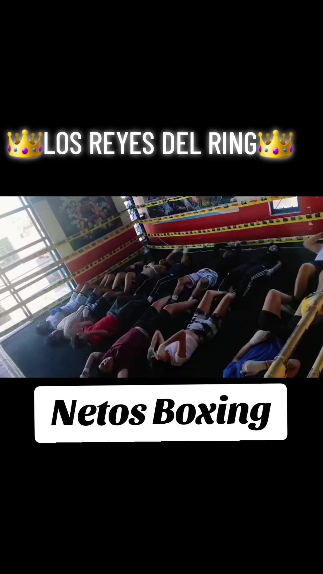 @netos boxing