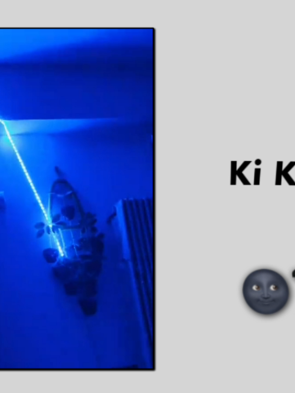 @𝐌𝐚𝐗 𝐑𝐚𝐅𝐮⚡