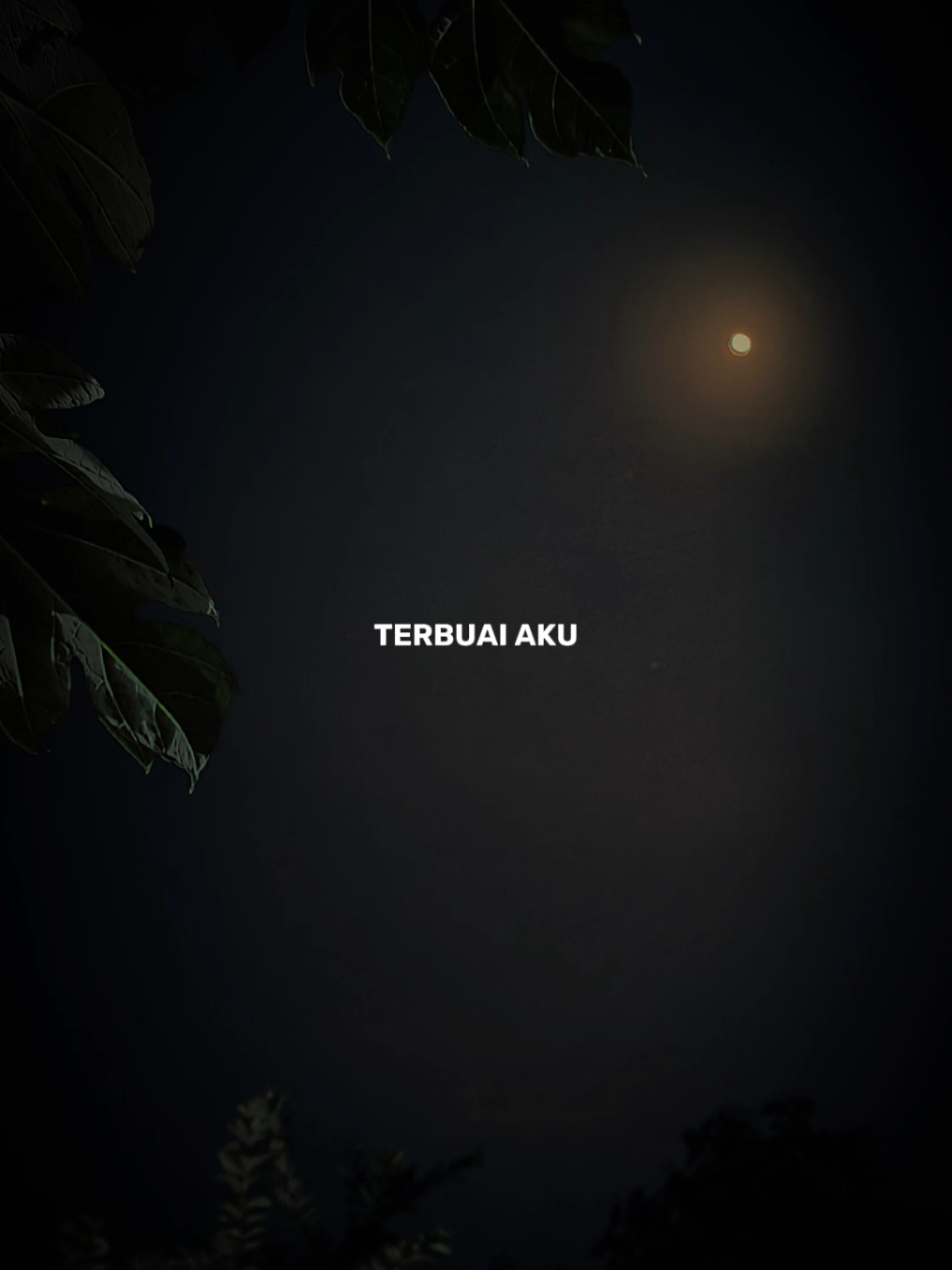 @𝗗𝐉_𝐒𝐓𝕆𝐑𝐘