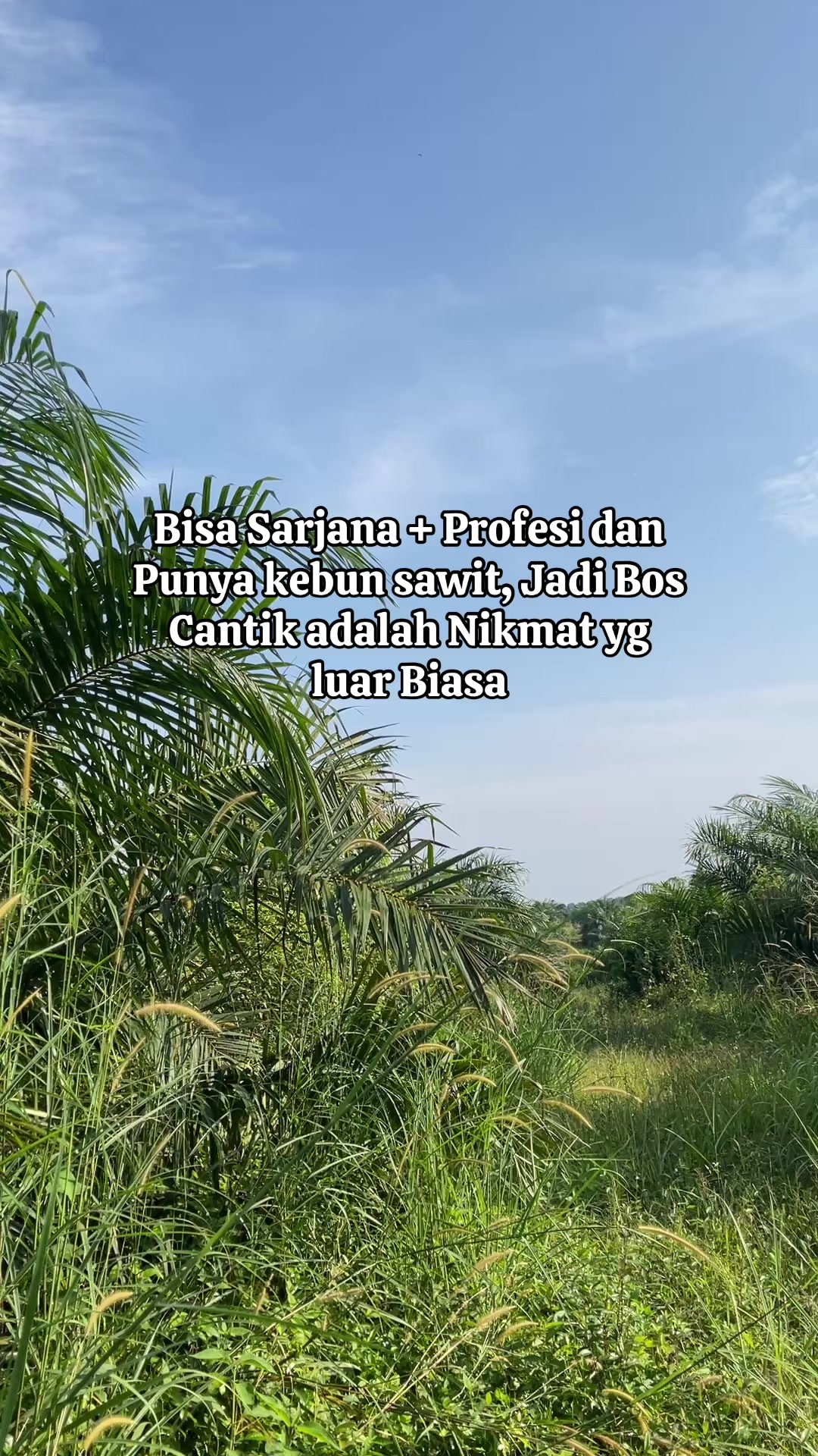@Bucaa