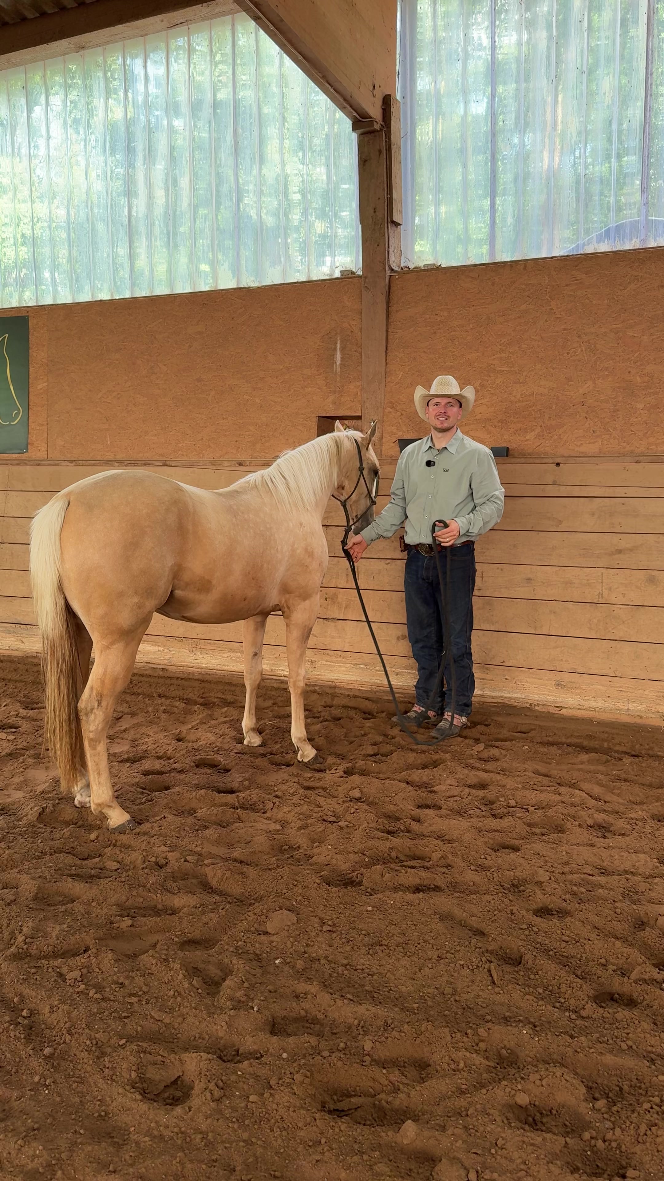@Nebel Performance Horses