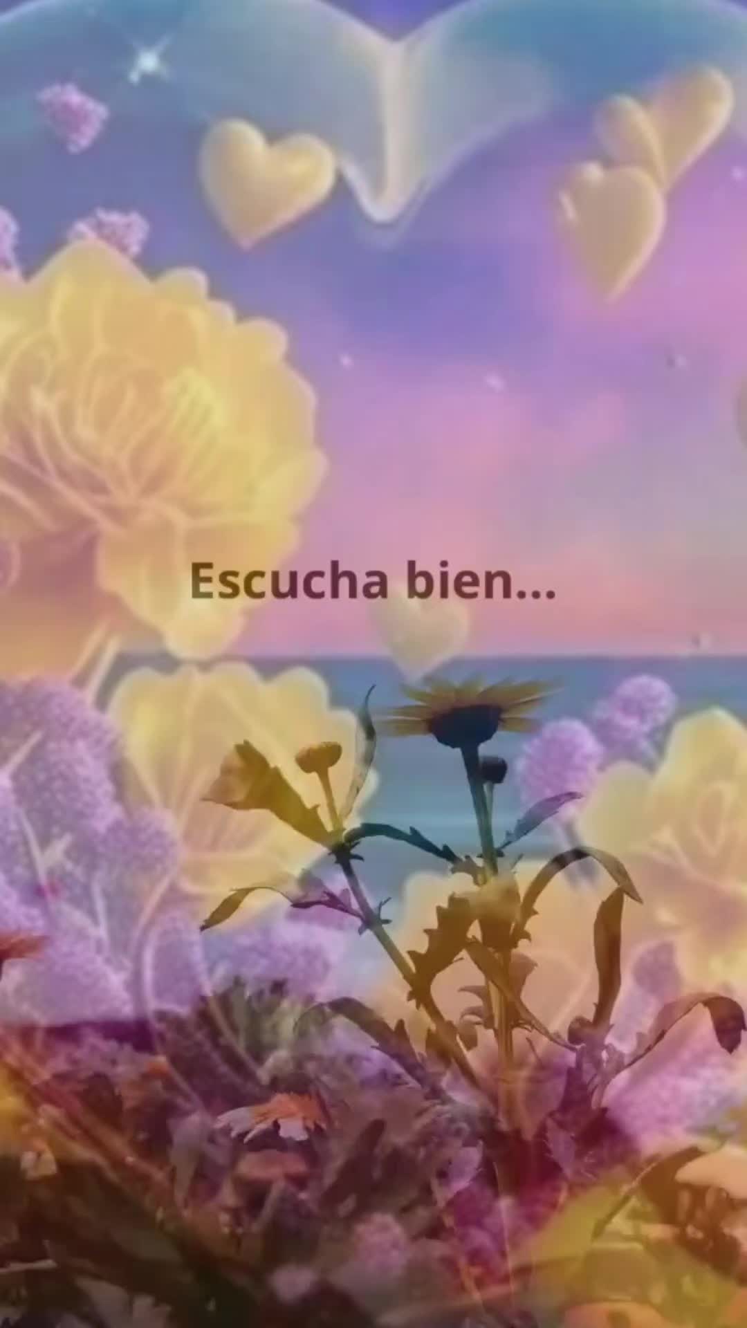 @La Señora de Tampa .