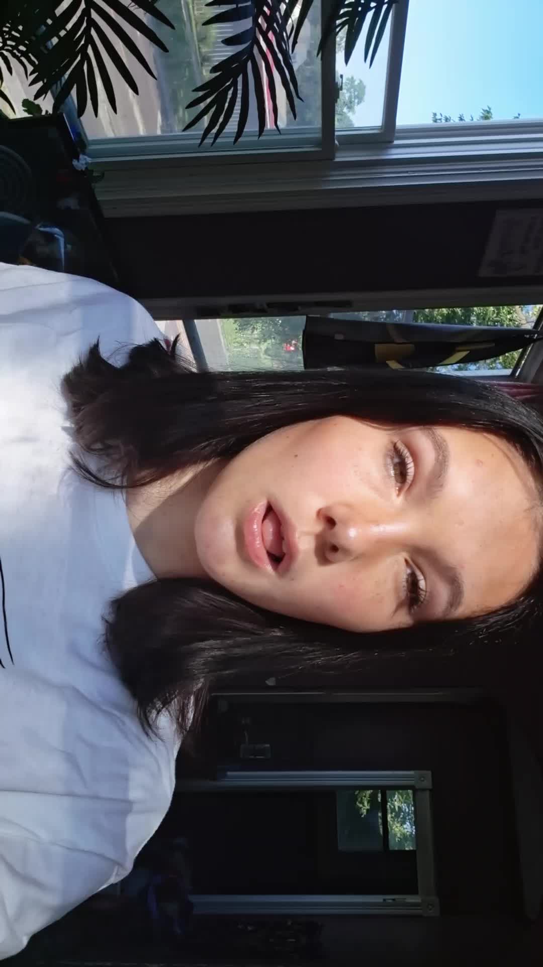 @Cat🤑