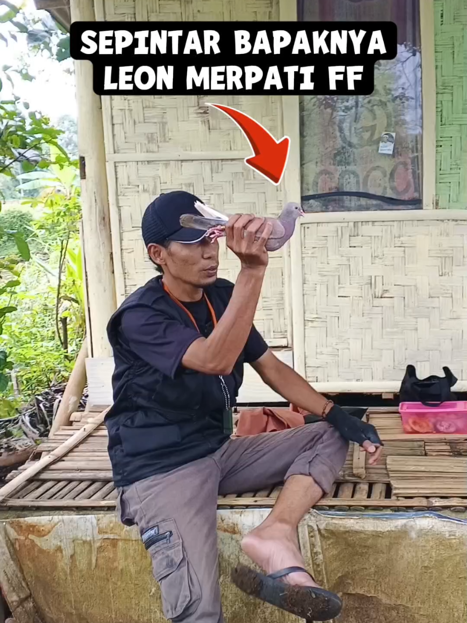 @BANG LEYON