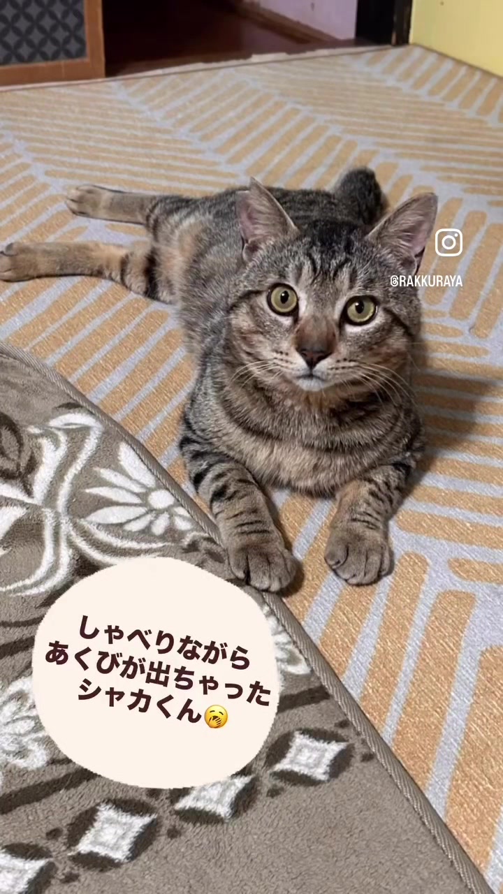 @らっくら家