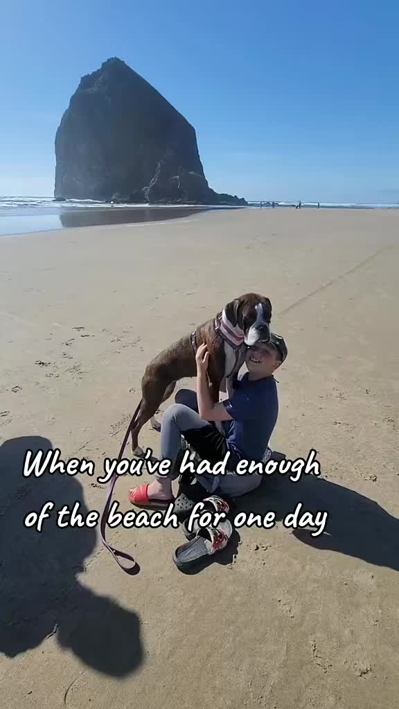 @BoxersLily&Elvis