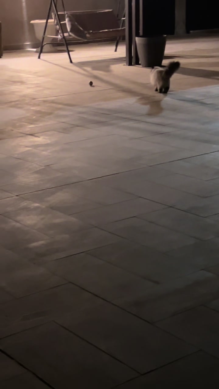 @Ga