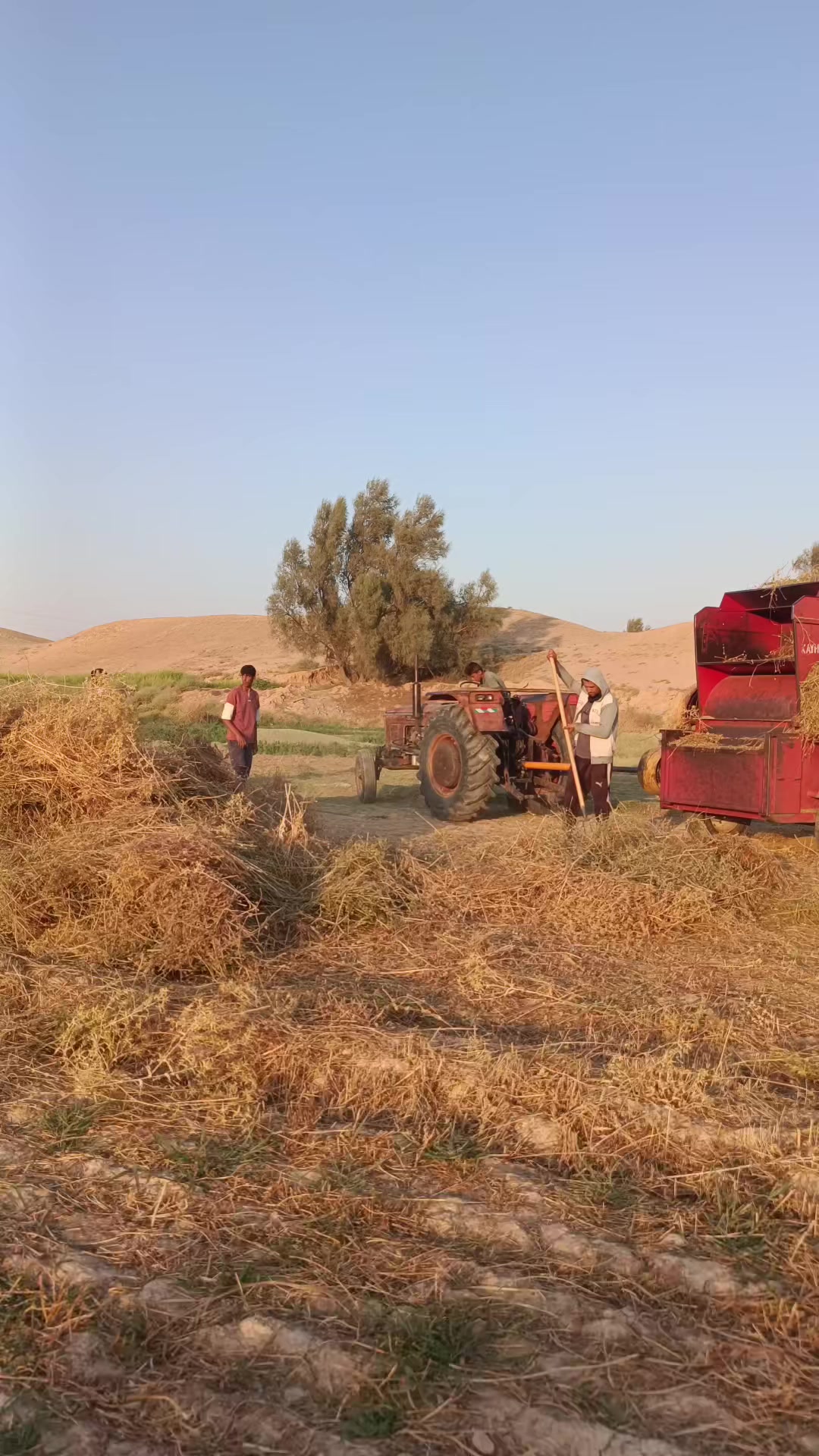 @( الصيت ) عمر ال هندي[ 1844&trade;]
