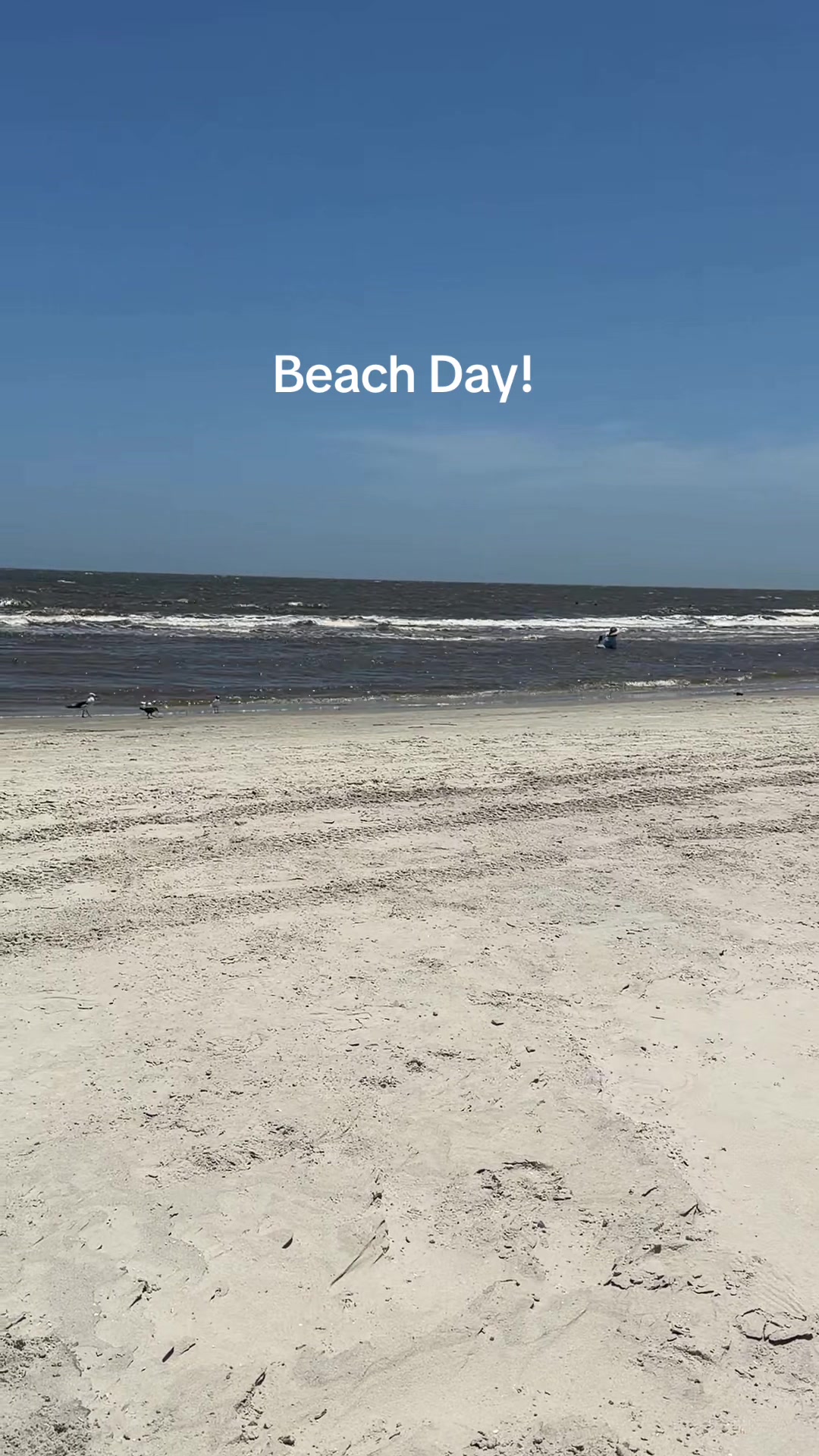 @lisazachry44