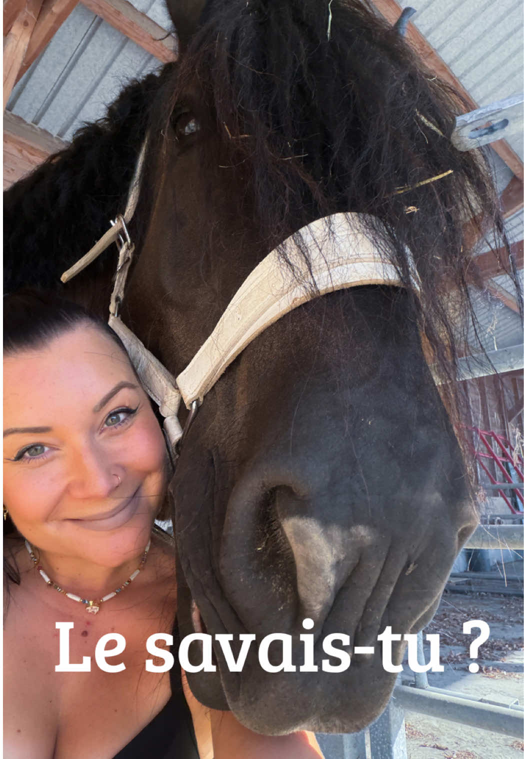 @Untraitdecheval