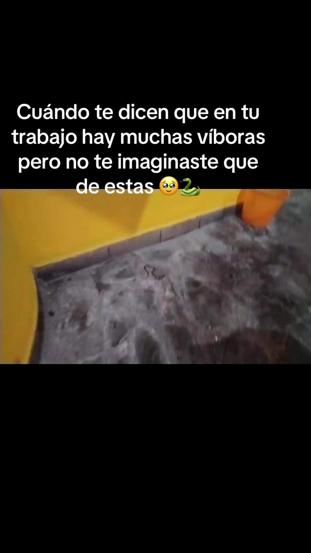 @Angela A.S