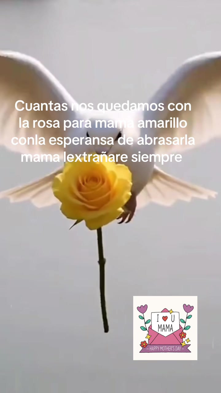 @Elvia Zendejas Reyees