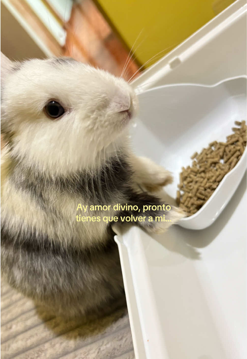 @ใ
ค๐๐ช๐ท๐ฒ๐ฎ๐ต๐ช