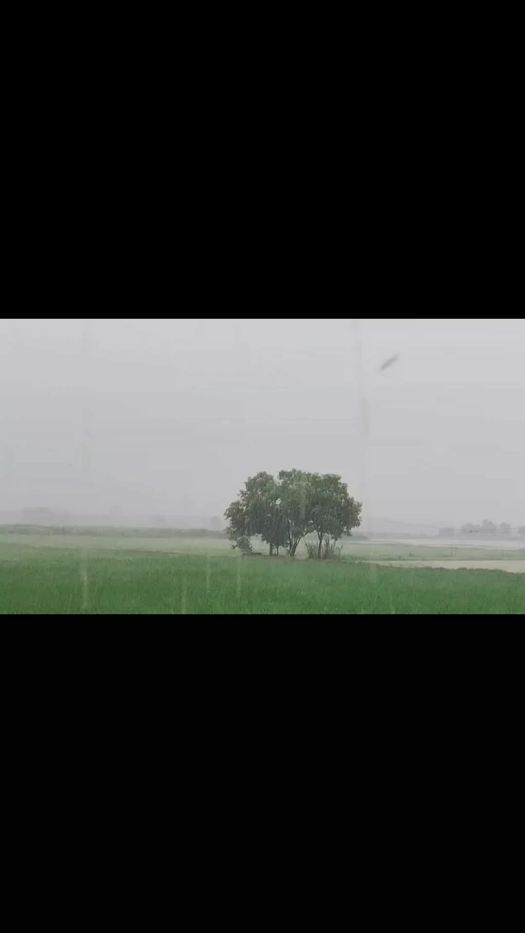 @Tayyab Goraya