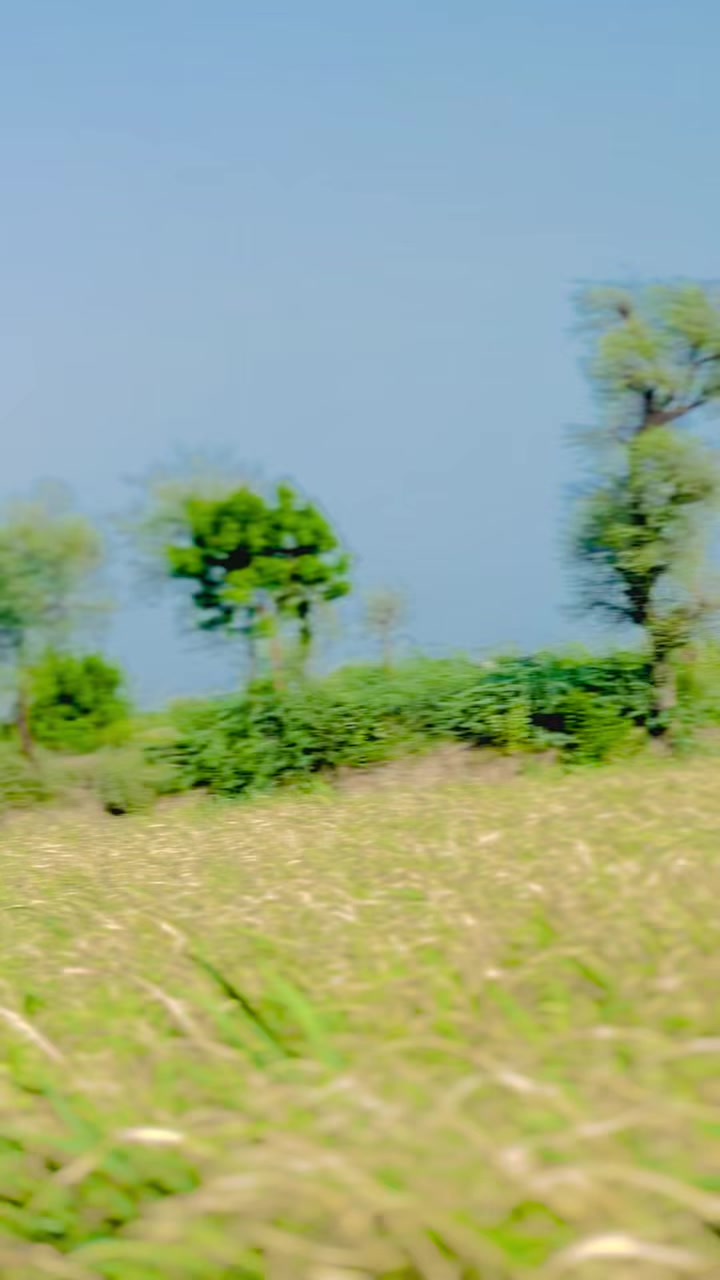 @๐ฅุฏูุญู๐ฅ