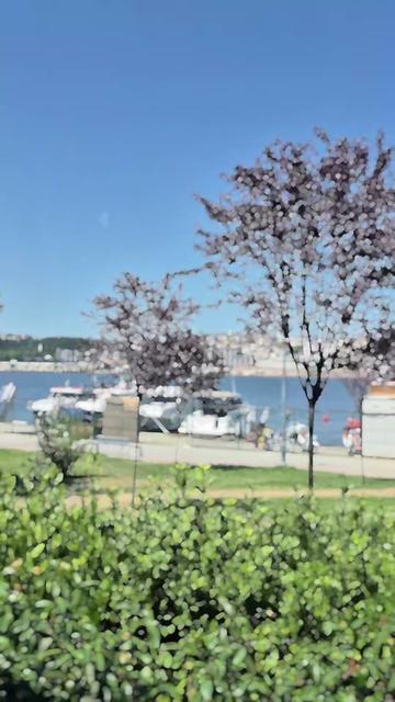 @ugurcan.06