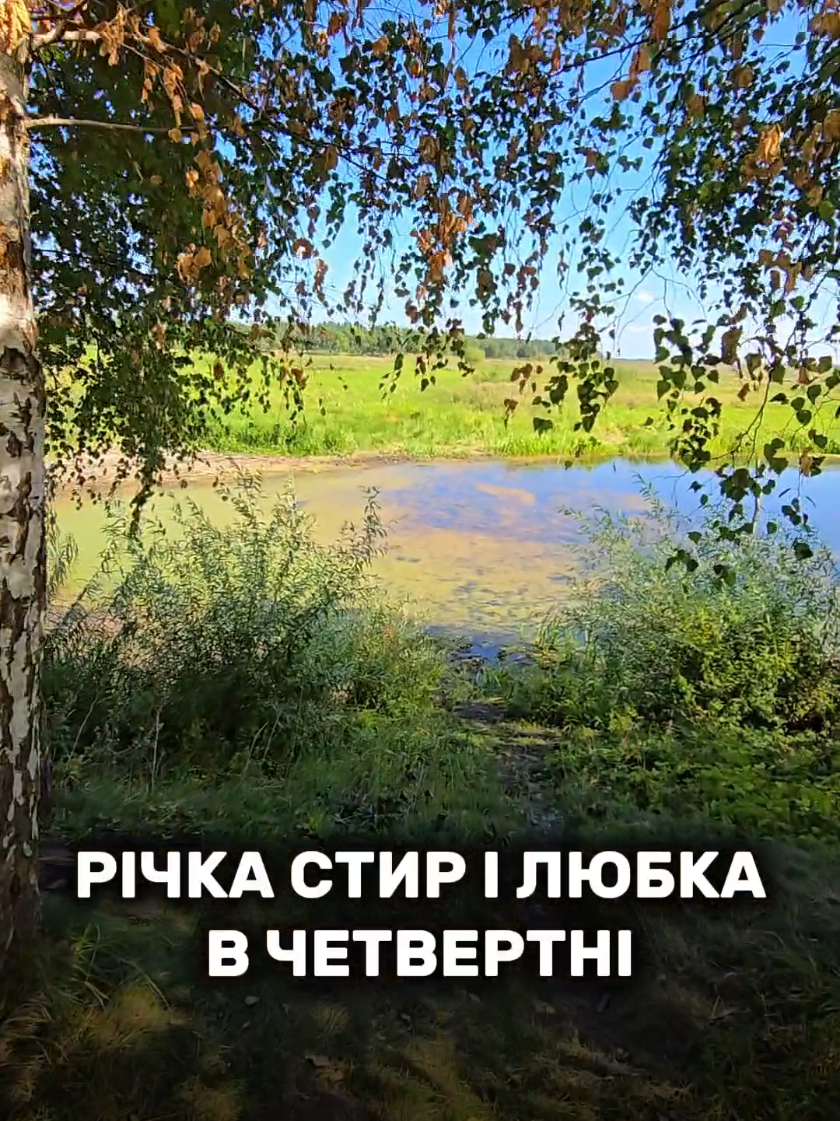 @Travelino