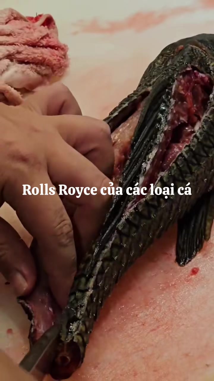 @Nguyễn Đức Tiến