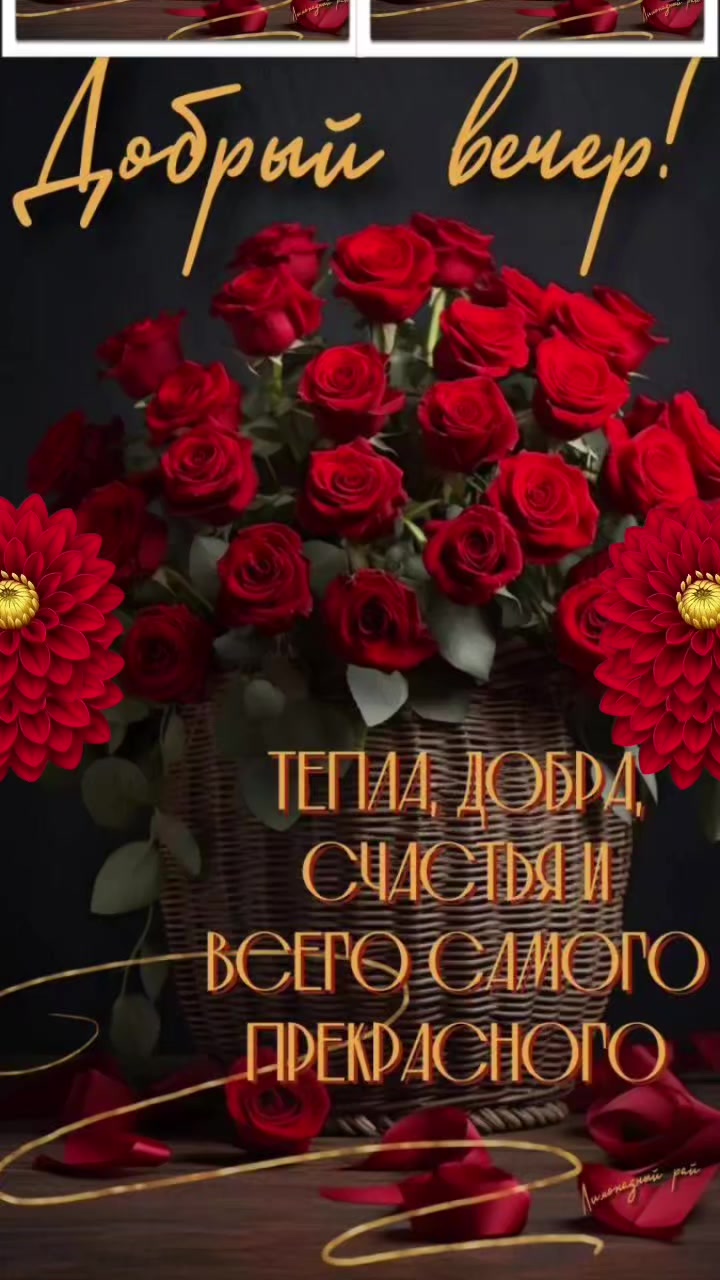 @꧁Виктория꧂
