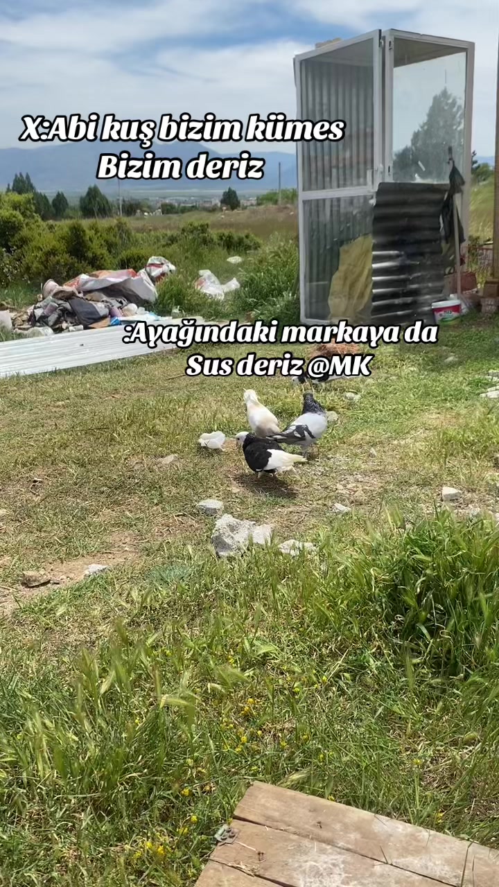 @&Ccedil;ETİN YMN🐊