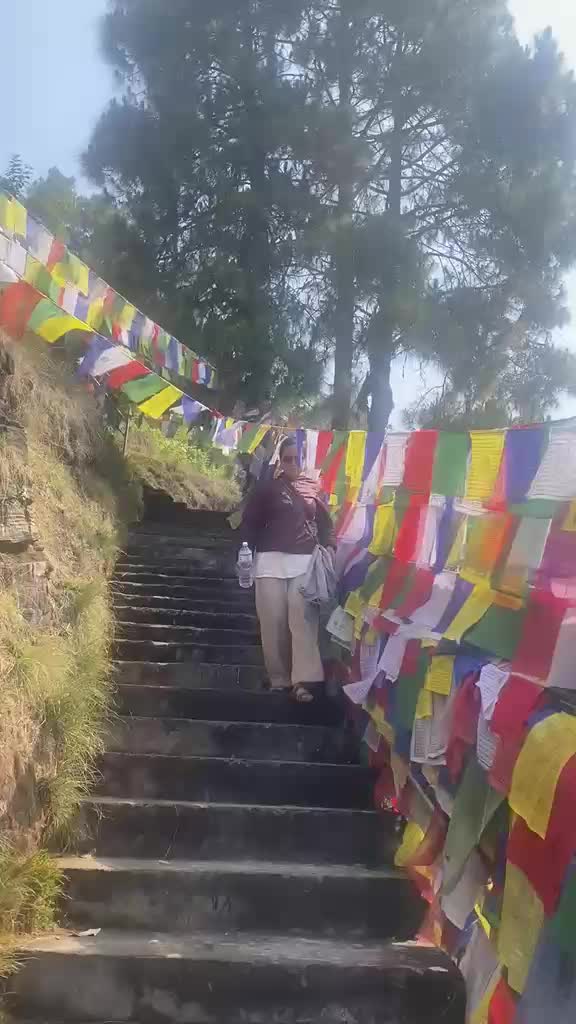 @~shanti lama^^🫶