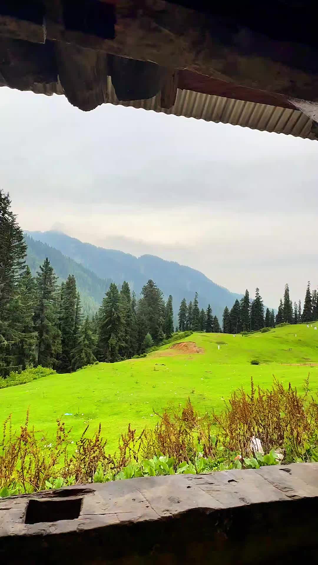 @It's Meer sajad 🔥