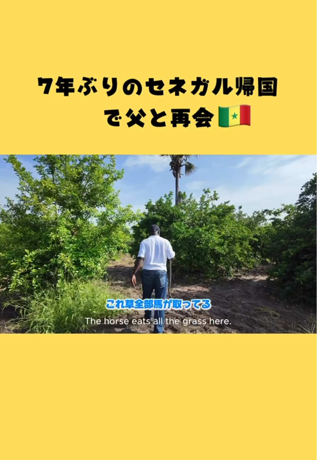 @An🇯🇵🇸🇳