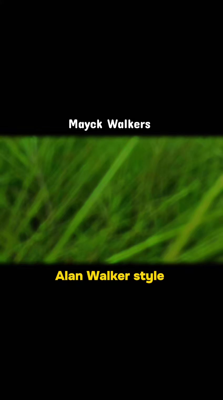 @Mayck Walkers