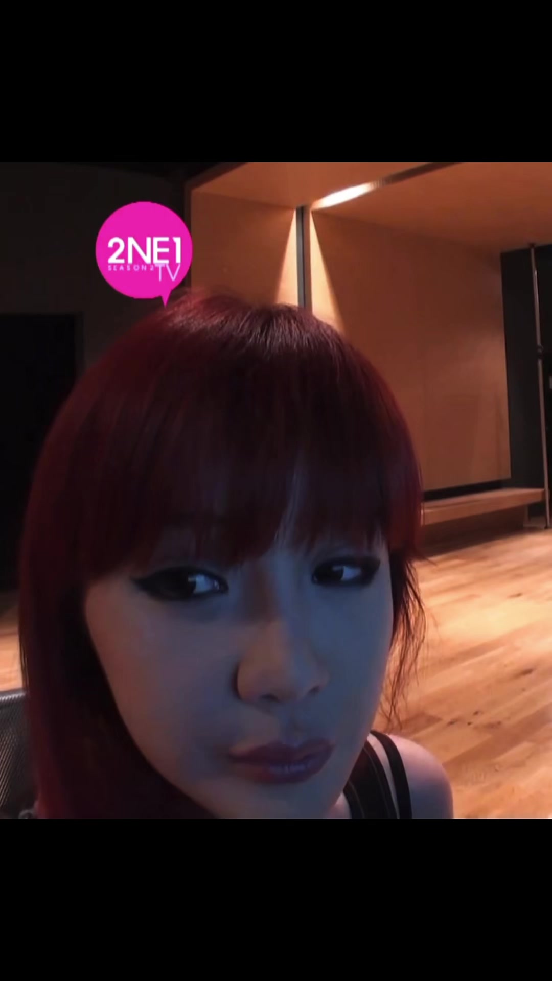 @2ne1