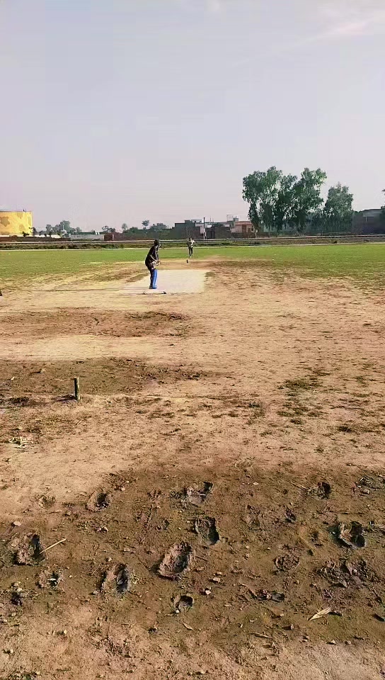 @03130519250