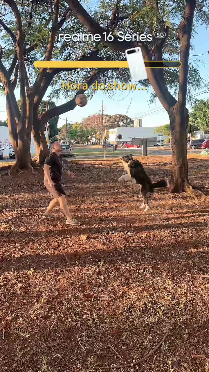 @dog_altinha
