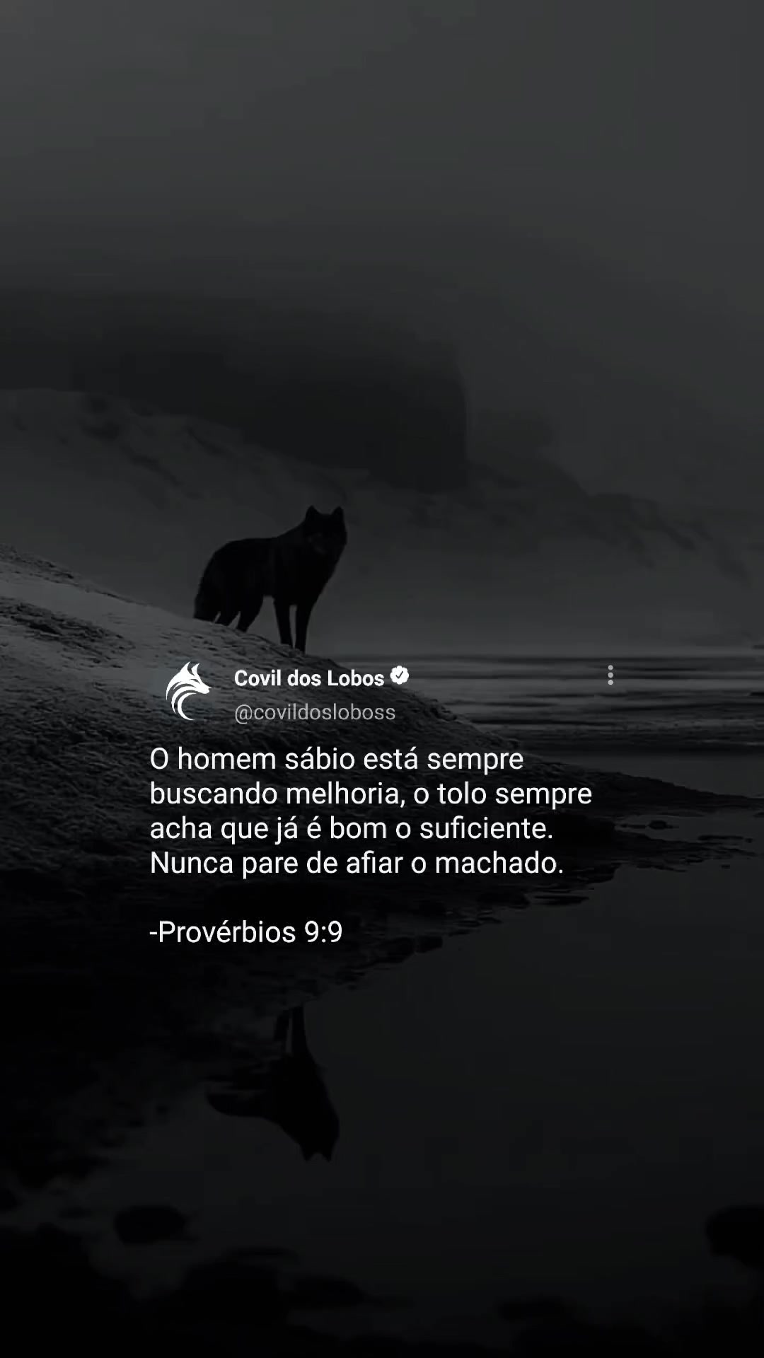 @Covil Dos Lobos
