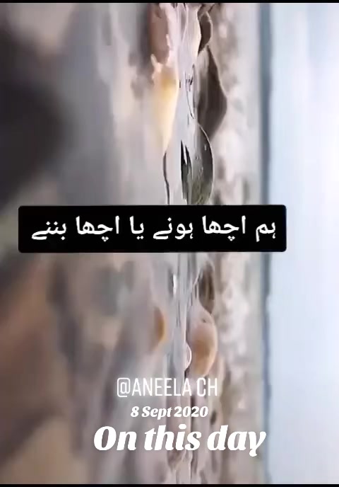 @Anila saleem