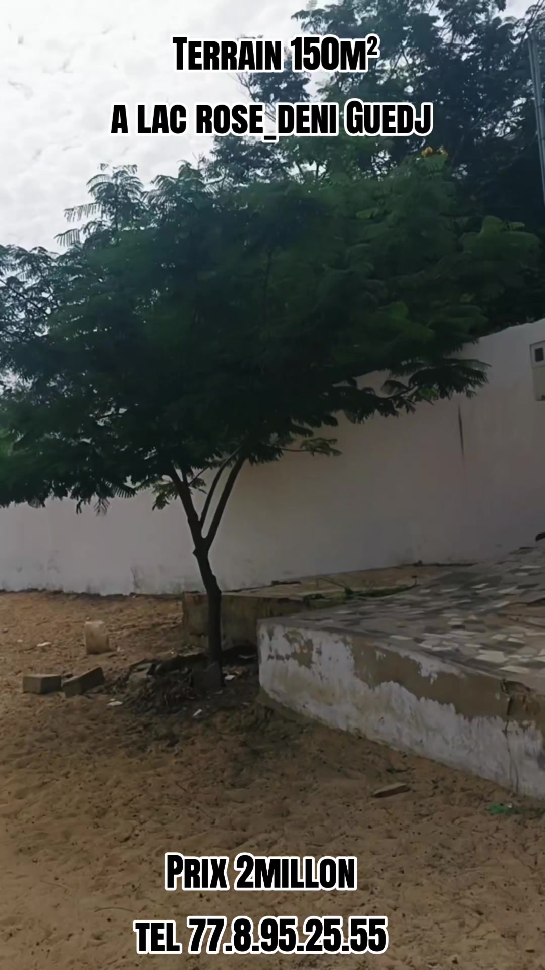 @Sénégal dakar habitat 🇸🇳
