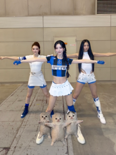 @MEOVV